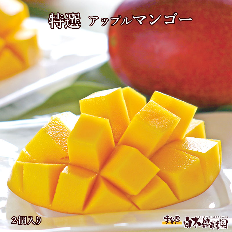 高級アップルマンゴー　2個入り　秀品・化粧箱入り【母の日】【父の日】【夏ギフト お中元】