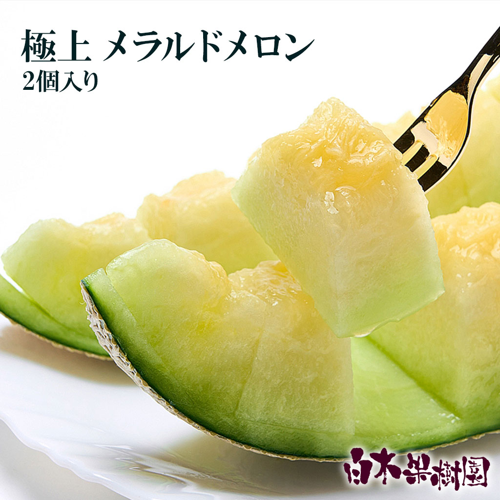 極上エメラルドメロン２個入り【送料込】【高知県産】【お中元 夏ギフト お歳暮 お年賀 冬ギフト 粗品 引き出物 お供え お返し プレゼント お礼】｜文旦屋・白木果樹園 8,284円