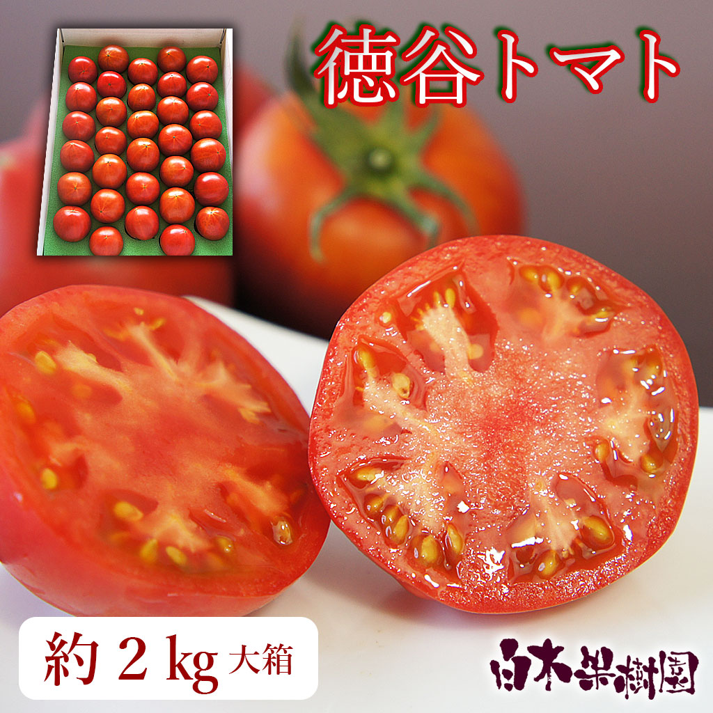 とまと購入ページ 楽天市場】｜先行予約｜高知県産 超高級 徳谷トマト 糖度10度以上