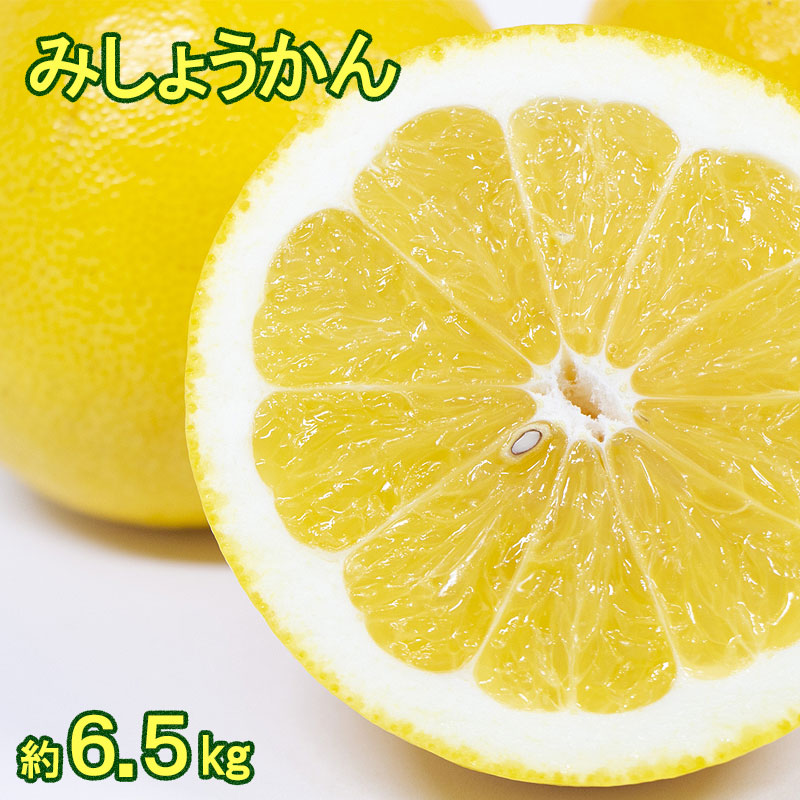 【送料込】みしょうかん ご家庭用 約6.5kg【 美生柑 河内晩柑　宇和ゴールド 夏ぶんたん】