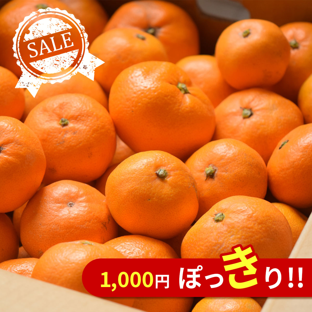 楽天市場】国産 ベルガモット 1kg、3kg、5kg 白木果樹園産