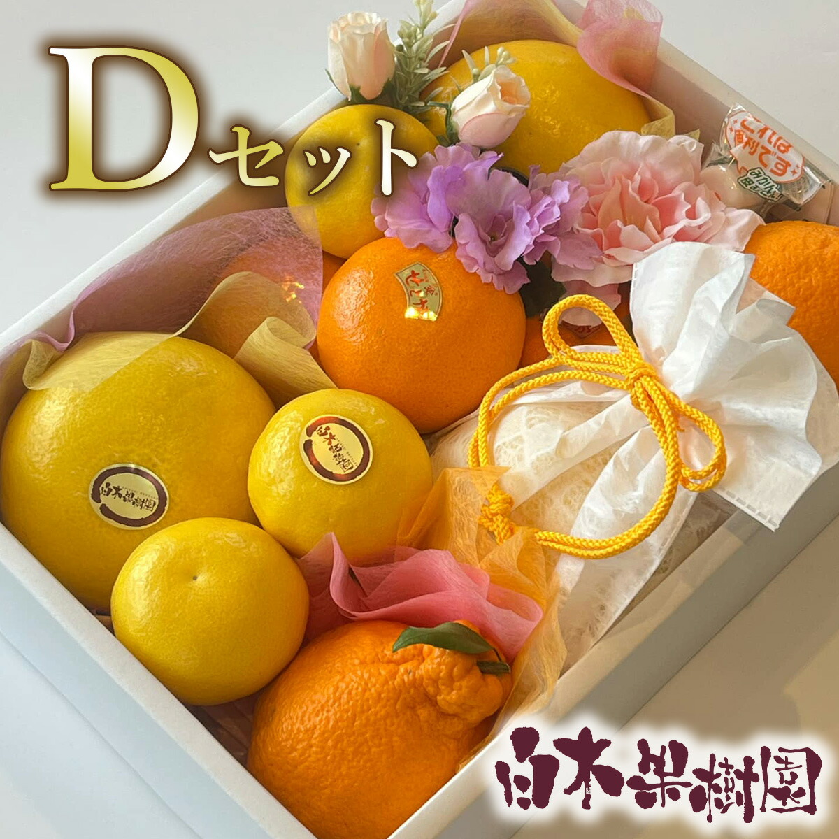 【贈答用】【ギフト】白木果樹園旬のオーダーメイドフルーツセット　詰め合わせ【Ｄセット】