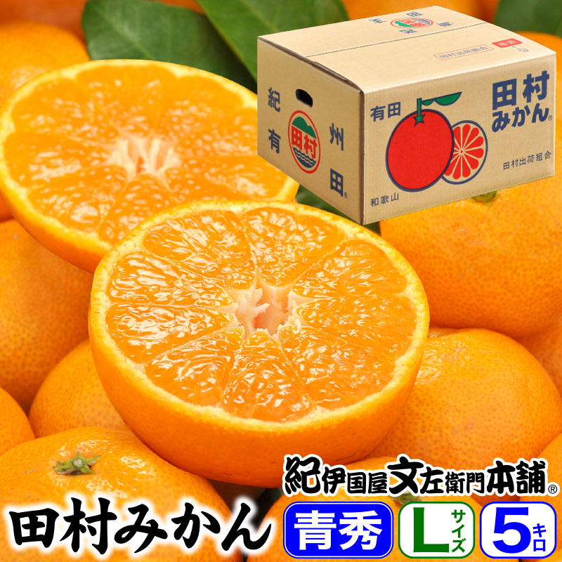 楽天市場】【即出荷】みかん！和歌山みかん！たっぷり10キロ☆お試し