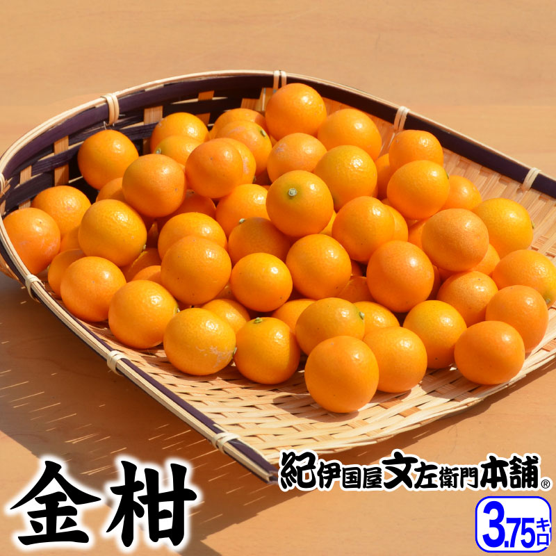 現物発送‼️写真2枚目参照‼️和歌山県産　南高梅　大玉3Lサイズ5Kg みかんキング 和歌山県産 JA紀州 みなべの南高梅 3Lサイズから2Lサイズ 秀品 約2キロ