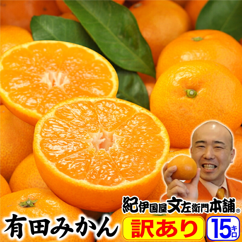 【12月下旬〜１月上旬発送】和歌山県産　有田みかん　【10kg】家庭用 2023年11月中旬以降順次発送】厳選!濃厚有田みかん【サイズ混合