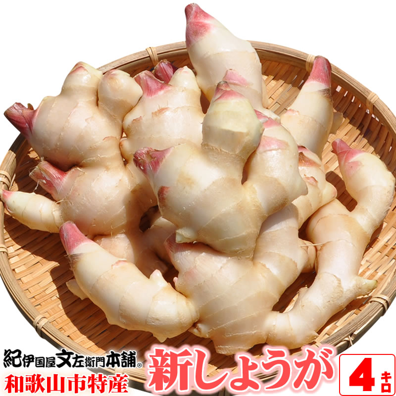 新物　新生姜　安いよ　497 新物 新生姜 安いよ 764 - メルカリ