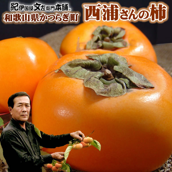 楽天市場】【予約:12月上旬より出荷予定】送料無料・和歌山の柿 楽天市場】【予約:12月上旬より出荷予定】送料無料・和歌山の柿