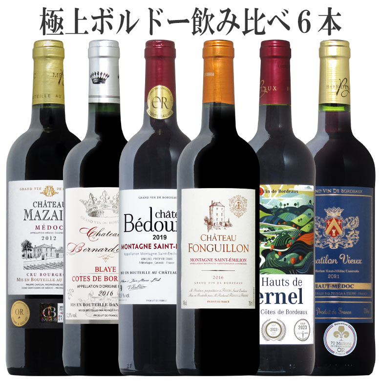 ボルドー上級産地から厳選！極上珠玉のボルドー赤ワイン6本セットで1万円 送料無料 ギフト 母の日 ワイン 赤ワイン 750ML
