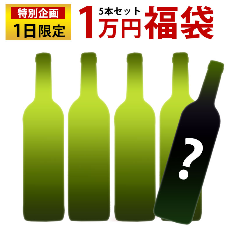 話題の人気 毎月1日限定販売 ACグラーヴ1万円福袋 5本セット ワインセット 送料無料 フランス ボルドー グラーヴ 白ワイン 辛口 ギフト  敬老の日 750ML おすすめ fucoa.cl