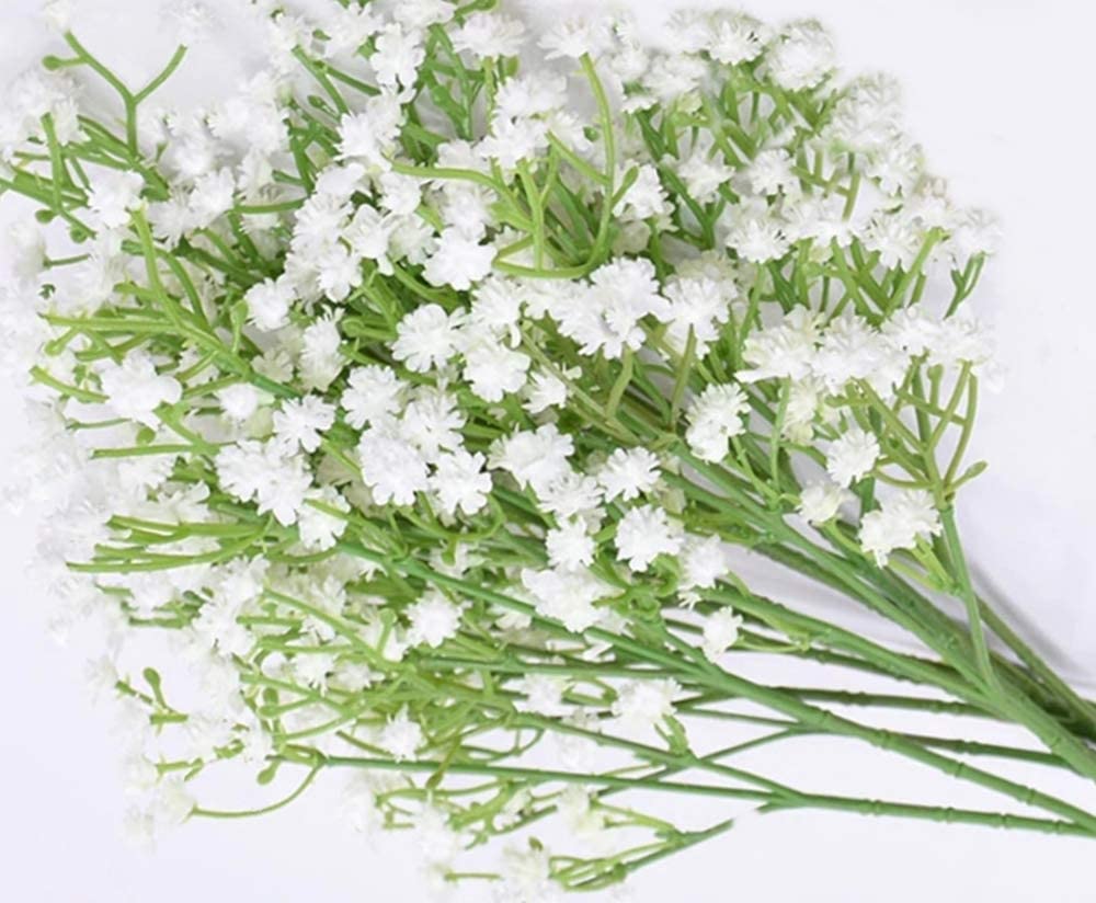 かすみそう カスミソウ (Gypsophila elegans)