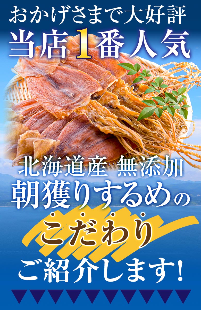 おつまみ するめ スルメ 3種類から選べる！【北海道産 無添加朝獲り