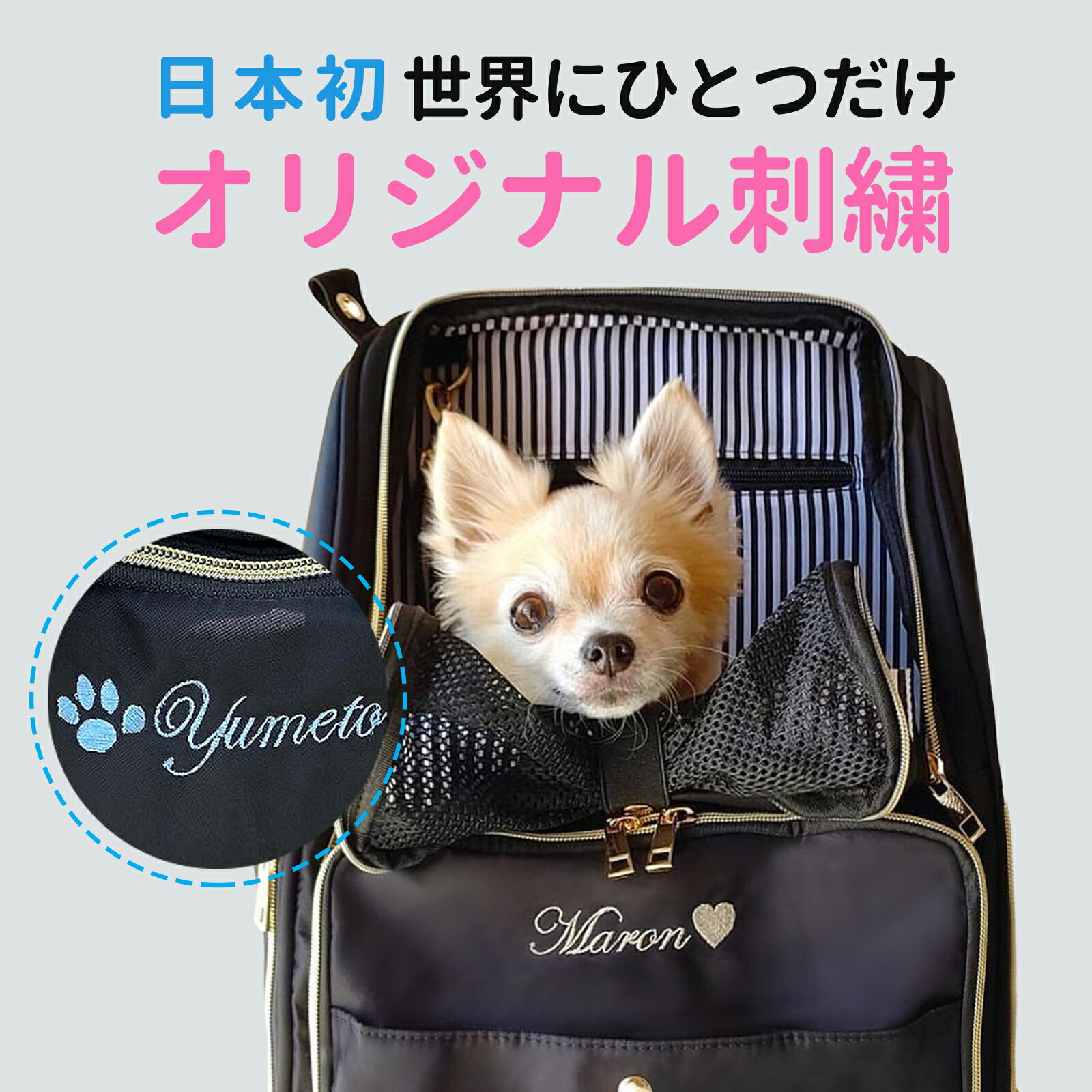 送料無料 リュック オリジナル お名前刺繍で特別感がアップ 通気性抜群 お出かけは楽に 日本初 マラソン期間中エントリーp5倍 りゅっく リュック りゅっく 刺繍入り 猫用品 刺繍入り りゅっく 軽量 通気性 安定性抜群 Winsun正規代理 刺繍入りペットキャリー