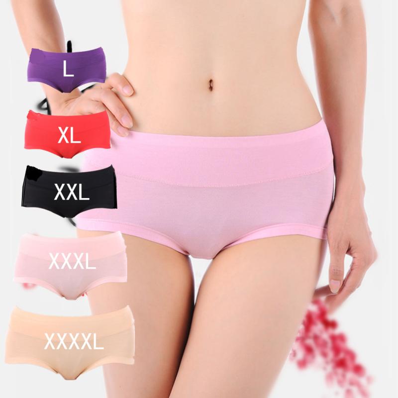 ショーツ レディース 大きいサイズ 竹繊維 女性用 中腰 ビッグサイズ 無地 モダール L XL XXL XXXL XXXXL ホワイト パープル ブラック(x10)