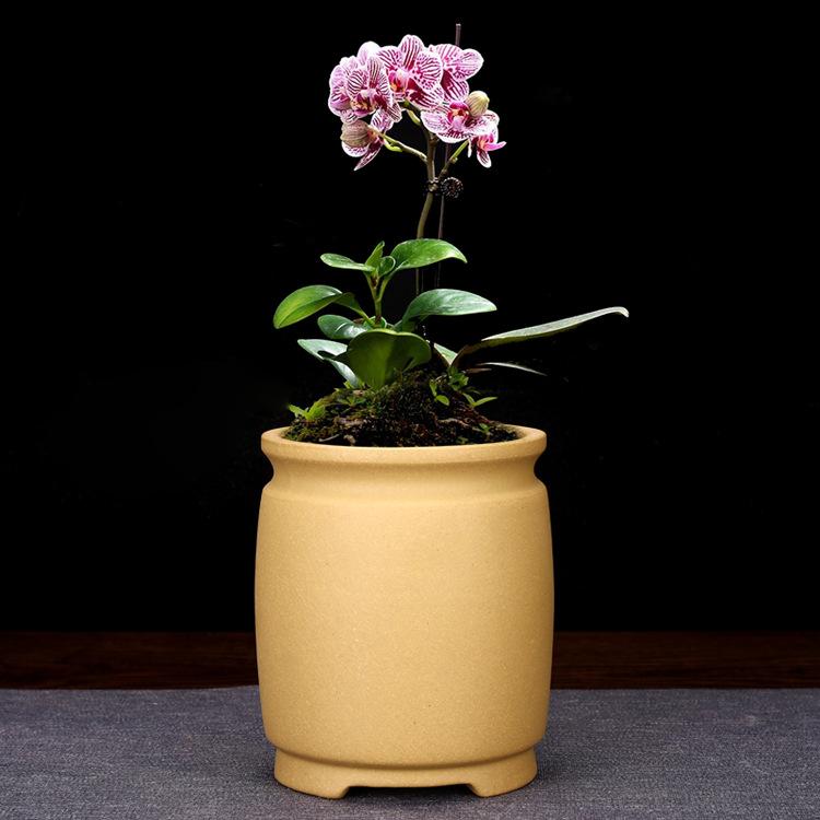 花瓶 植木鉢 陶器 卓上 鉢 盆栽 多肉植物 蘭 ラン オフィス ホテル 家庭 菜園 ベランダ ガーデニング 赤 レッド 黄 イエロー 古銅色 ブロンズ 紫 パープル 黒 ブラック2
