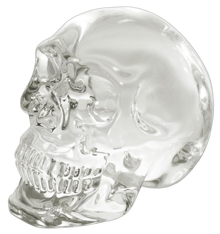 楽天市場】SKULL GLASS スカルグラス 骸骨 どくろ 一輪挿し : THE HARVEST