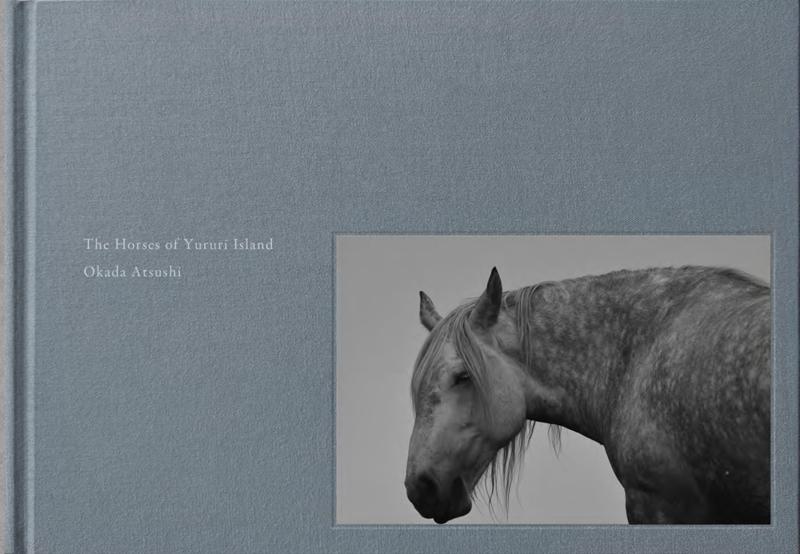 【中古】The Horses of Yururi Island　ユルリ島の馬｜ブリルビ