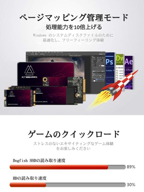 Kingshark SSD｜ブリルビ
