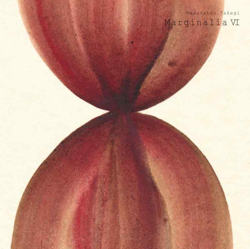 【中古】マージナリア VI (完全生産盤)(アナログ盤) - 高木正勝 [Analog]｜ブリルビ