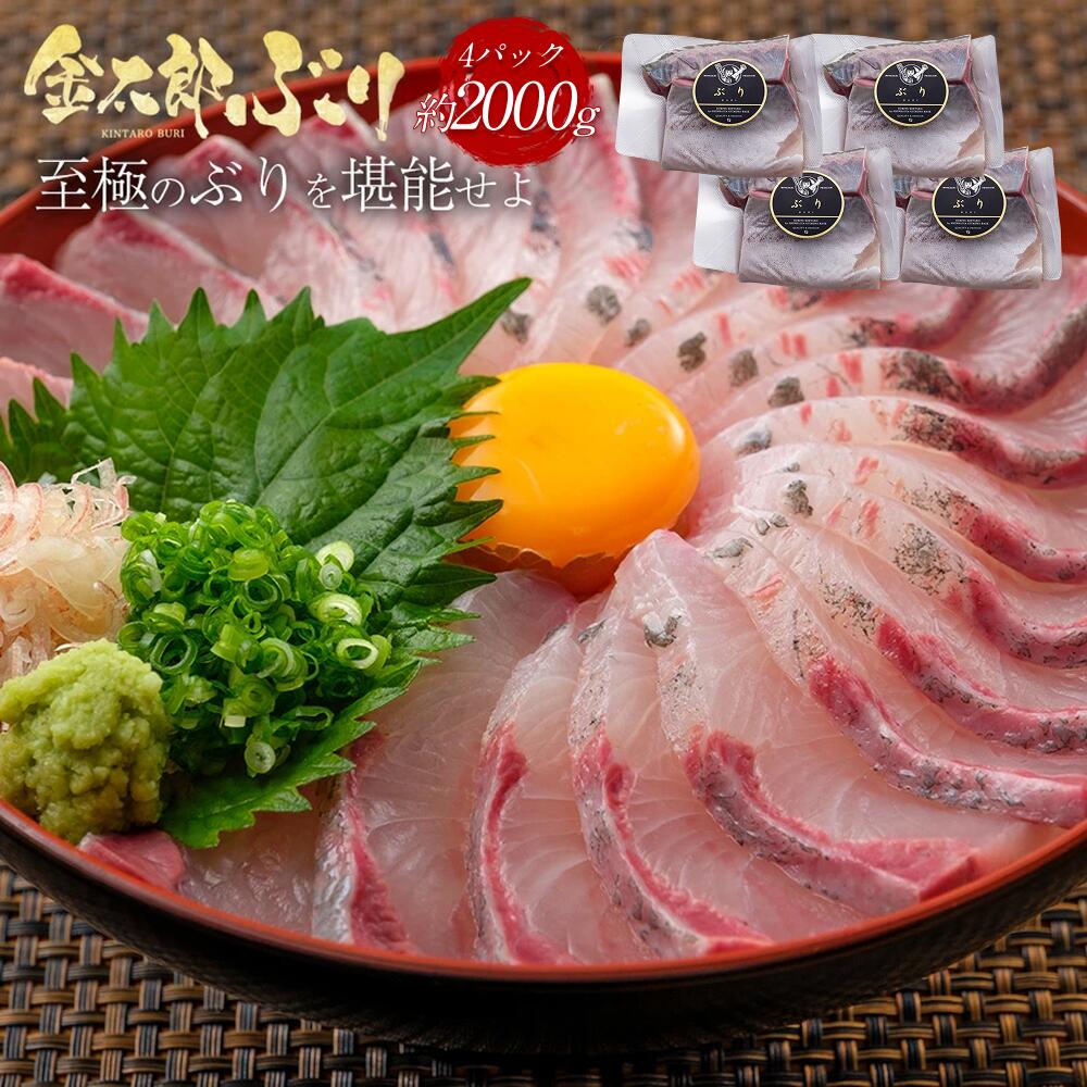 【マラソン中2800円OFF】通販の虎出演！虎絶賛！金太郎ぶり 約2000g（約2kg） 極上 2026 父の日 ブリ 鰤 刺身 お刺身 刺し身 さしみ 切り身 1 匹 冷凍 解凍 お取り寄せ ギフト プレゼント 送料無料 お返し 贈答品 産地直送 宮崎 海鮮 真空パック 贅沢