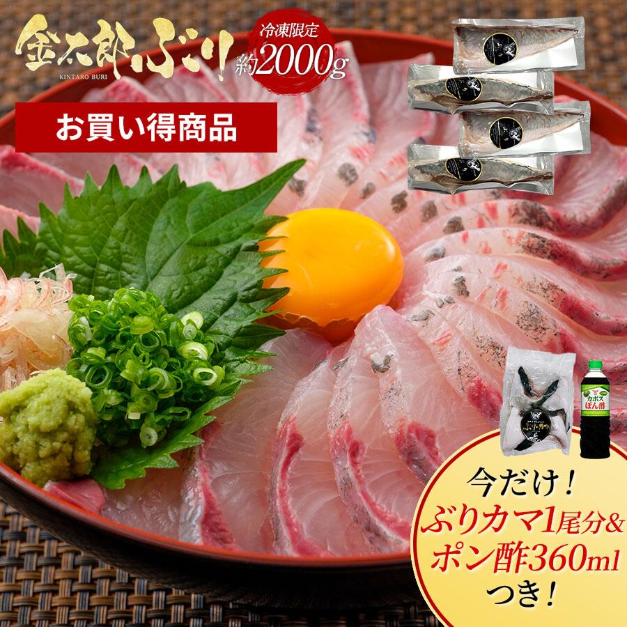 【楽天市場】【お買い得ぶり/冷凍専用】金太郎ぶり 冷凍 約2000g(約2kg) ぶりかま1尾分+ポン酢360ml付 極上 ブリ 鰤 ぶりしゃぶ 切り身 1 匹 冷凍 解凍 ギフト プレゼント 送料無料 贈答品 年配 産地直送 宮崎 海鮮 魚 骨取り 済 骨なし 骨抜き 無塩 養殖:鰤屋金太郎