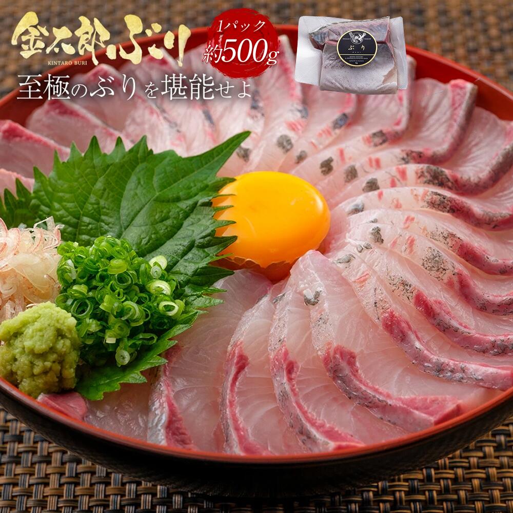 【マラソン中500円OFF】＼通販の虎出演！虎絶賛！／金太郎ぶり 約500g 極上 ブリ 鰤 2026 母の日 刺身 刺し身 さしみ 切り身 冷凍 解凍 お取り寄せ ギフト プレゼント 送料無料 お返し 贈答品 産地直送 宮崎 真空パック 酒のつまみ 魚 骨取り 骨なし 骨抜き 無塩