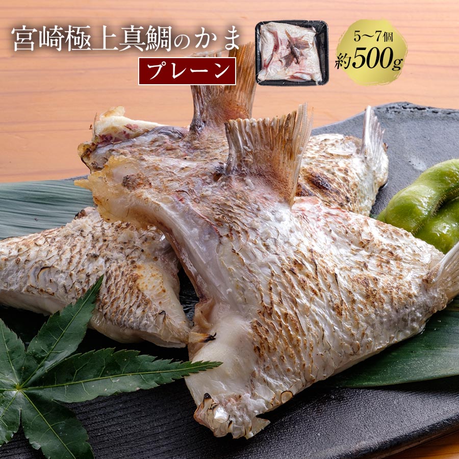 楽天市場 匠が育てた極上の鯛 タイ たい 鯛カマ約500g 5 7個入り 塩焼き 照り焼き等の料理におすすめです 鰤屋金太郎