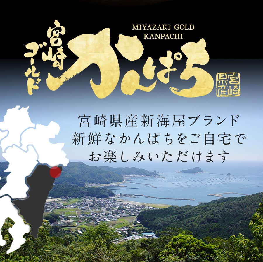 匠が育てた極上のカンパチ かんぱち 勘八 カンパチカマ600g以上 間八