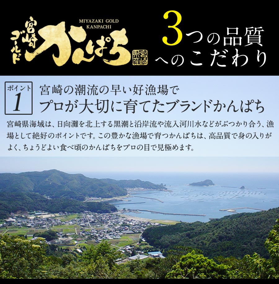 匠が育てた極上のカンパチ かんぱち 勘八 カンパチカマ600g以上 間八