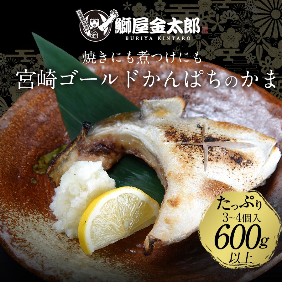 匠が育てた極上のカンパチ かんぱち 勘八 間八 カンパチカマ600g以上