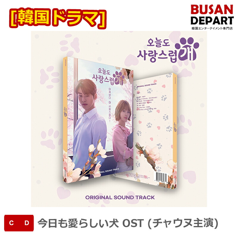 楽天市場】【コリタメ限定販売/新品/送料無料】犬とオオカミの