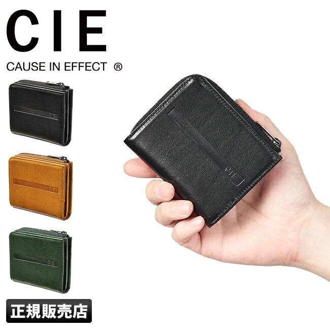 cie-072050_1.jpg