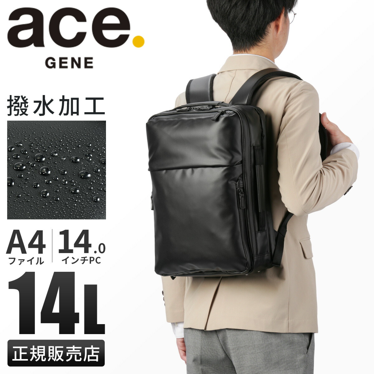 小物 ACE gene-68662_1.jpg