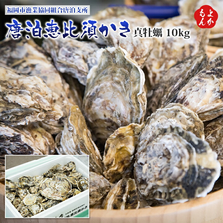 新発 唐泊恵比須かき 真牡蠣 10ｋｇ福岡市漁業協同組合唐泊支所 九州 福岡 お取り寄せ 福岡県よかもんショップ 福岡県よかもんショップw Seal限定商品 Www Lapressemagazine Fr