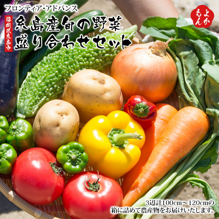 楽天市場】むなかた旬の野菜お任せセット【送料無料】宗像農業 楽天市場】むなかた旬の野菜お任せセット【送料無料】宗像農業