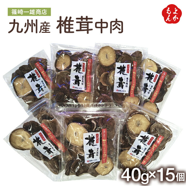 九州産椎茸中肉　40g×15個入【送料無料】博多しのざき 篠崎一雄商店 しいたけ  乾物 干し椎茸 九州 福岡 お取り寄せグルメ 福岡県よかもんショップ