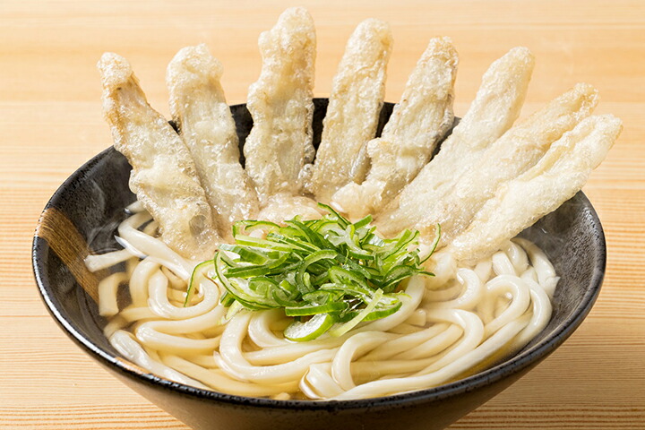 NEW売り切れる前に☆ 博多ごぼう天うどん 40セット限定 株式会社ウエダ 九州 福岡 お取り寄せ 福岡県よかもんショップ  fahrschule-witte.de