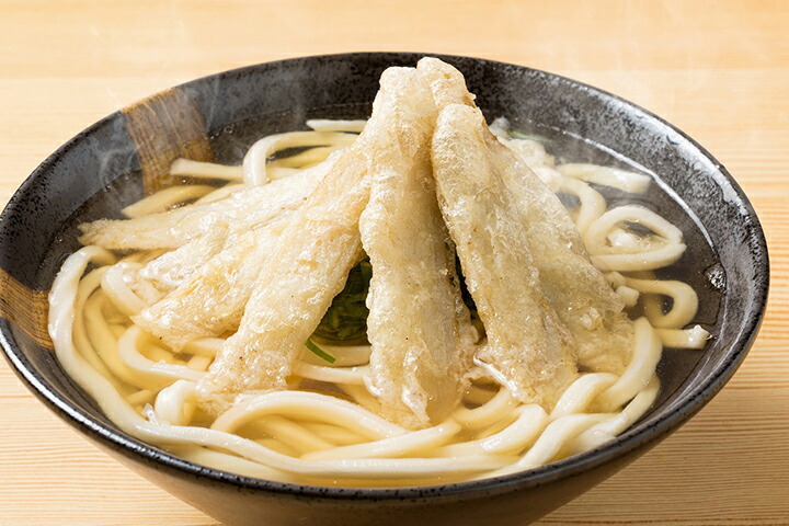 NEW売り切れる前に☆ 博多ごぼう天うどん 40セット限定 株式会社ウエダ 九州 福岡 お取り寄せ 福岡県よかもんショップ  fahrschule-witte.de