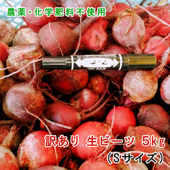 楽天市場】【木曜日限定発送】ビーツ 2kg (訳あり品：Sサイズ
