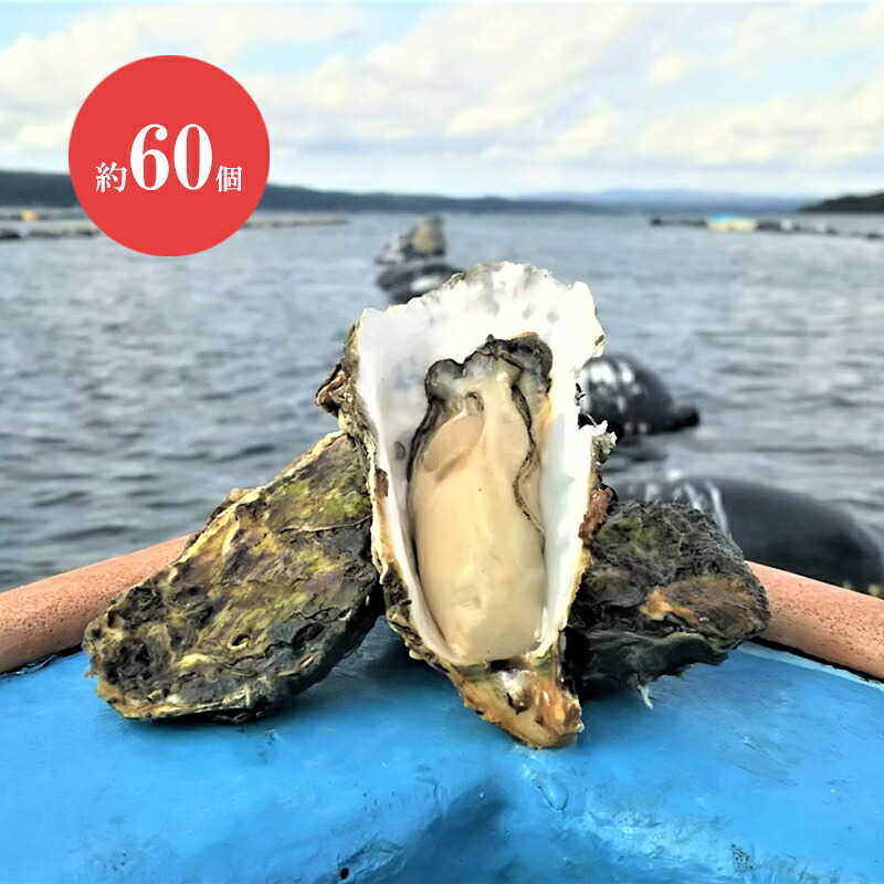 能登牡蠣 かき 殻付き（約60個）（約7kg）（加熱用）（専用ナイフ、片手用軍手付）真牡蠣