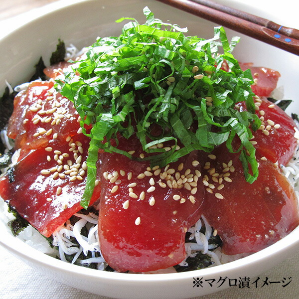 国産 天然 A品 中トロ 築地の本マグロ 約1kg 赤身 即納 築地の本マグロ 国産 天然 A品 中トロ 築地の本マグロ 約1kg 赤身 即納 築地の本マグロ