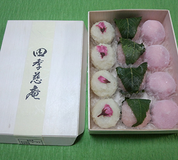 お花見の手土産・差し入れに！桜をテーマにした和菓子のおすすめは？