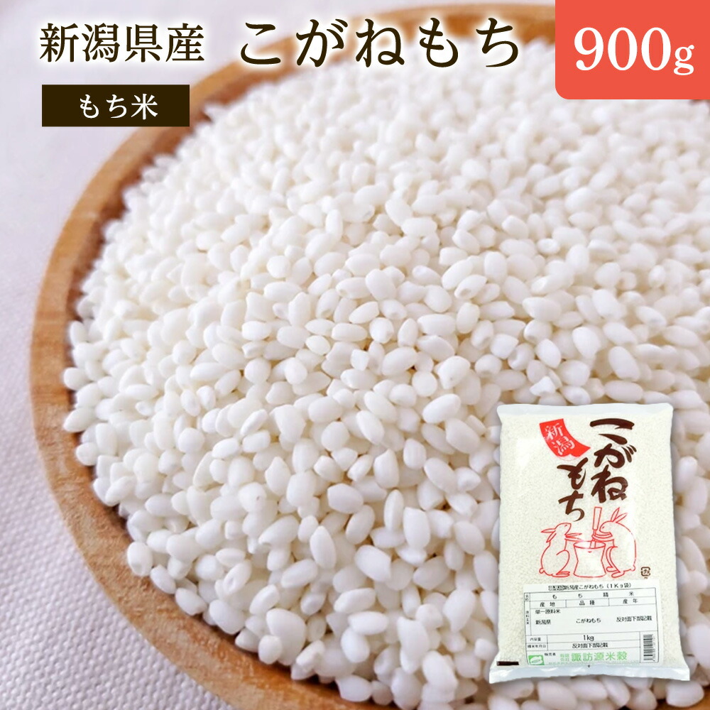 楽天市場】新物 令和7年産 ささげ 国産 群馬県産 240g（120g袋入り×2袋