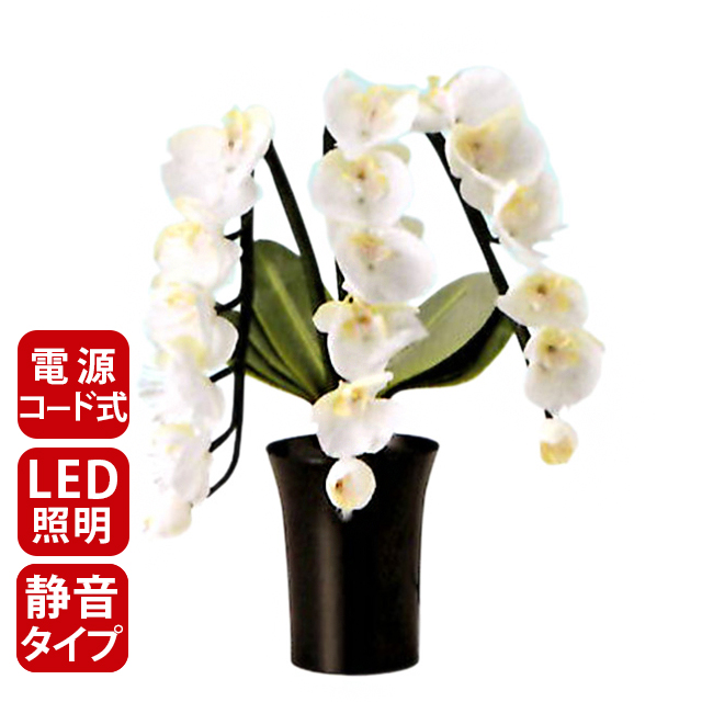 お盆 提灯 ミニサイズ 盆提灯 ミニ モダン 新盆 置き提灯 Led 花 造花 グランドルミナス Std 胡蝶蘭3本立 Led 高さ48cm 国産 日本製 ちょうちん おしゃれ かわいい 静か モーターレス 電気コード式 お盆用品 仏具 初盆 ミニサイズ ルームランプ Sobolewscy Pl