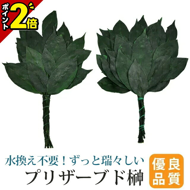 【P2倍★開催中!!】榊 ブリザーブド榊 2本セット 神具 プリザーブド榊 1対（2本セット）【選べる3サイズ ミニ・通常・大サイズ】 榊 [神棚 神道 祖霊舎 神徒壇 御霊舎 霊璽 御霊代]