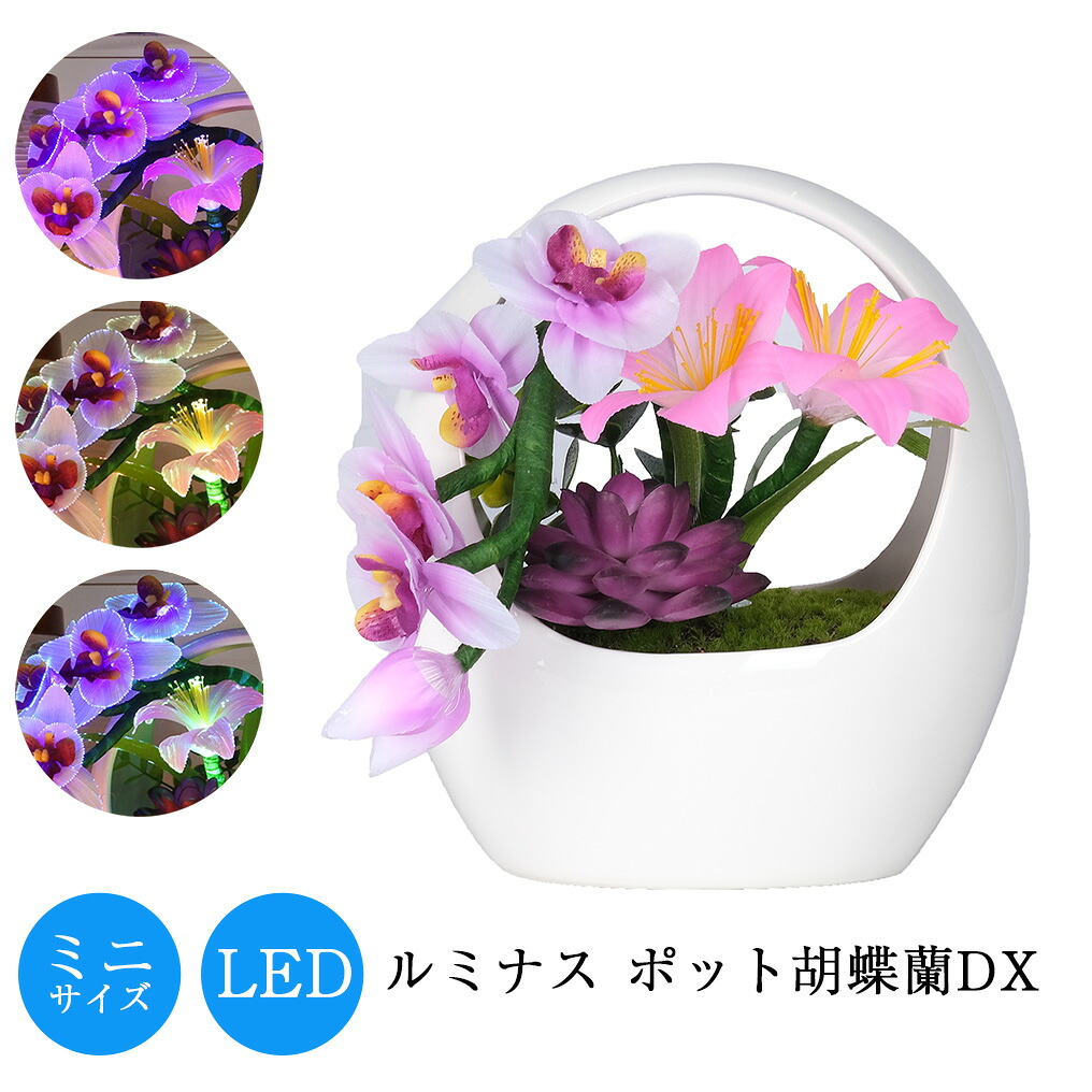 【数量限定】盆提灯 ルミナスポット 胡蝶蘭DX お盆 初盆 新盆 創作 モダン ルミナス灯 筑後 手作り 取り付け 八女 花 福岡 風習 インテリア 四十九日 人気 贈答 電球 盆ちょうちん ペット 現代 八女提灯 ミニ 小型 ギフト 動画公開中