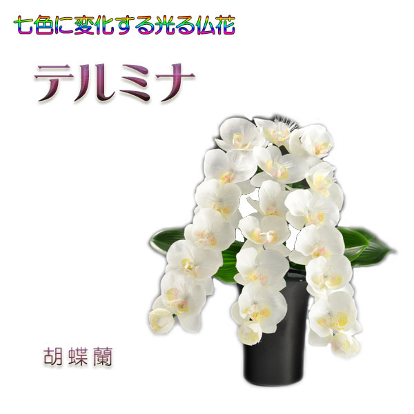 グラスファイバー当てはめるの光る仏花【7色にうつり変わりする煌めくお花 電話を掛けるミナ：夢見鳥蘭】新盆 初盆 御盆装置 盆提燈 盆花 仏壇用仏具 貨物輸送無料【smtb-td】【RCP】