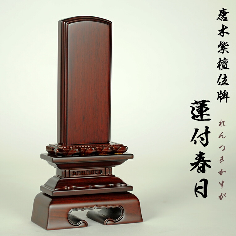 紫檀蓮付春日6.0寸【smtb-td】【RCP】