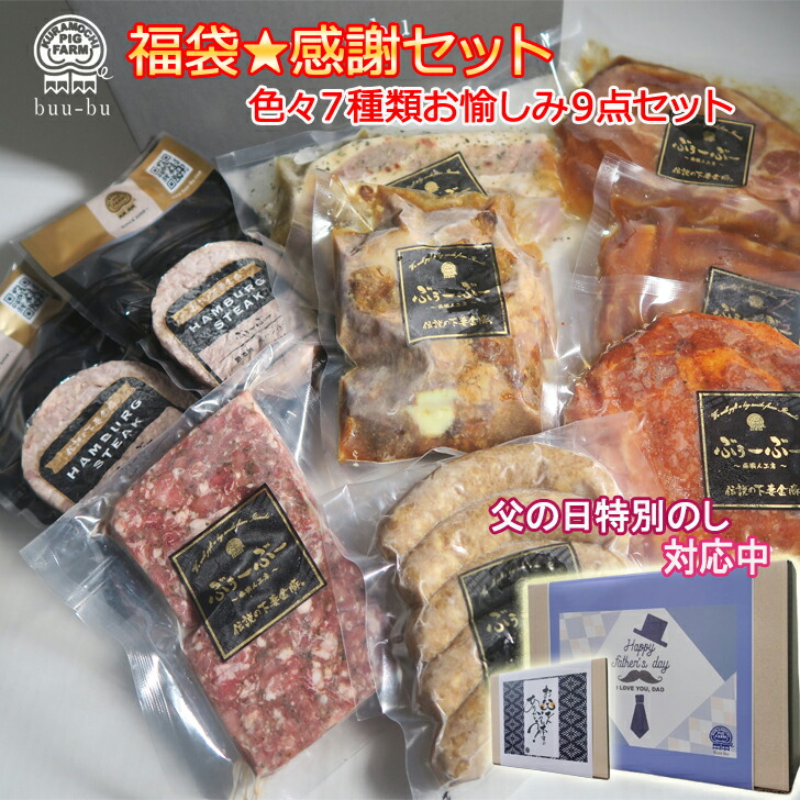 【クーポン利用で8500円が 4420円 48％OFF】福袋：感謝★ハンバーグ 2個 生姜焼き 2パック ウインナー １パック 肉 ２パック パテドカンパーニュ 1パック 軟骨煮込み1パック 9パック　肉  和牛 冷凍   内祝  ギフト   福袋 母の日 母遅れてごめんね父の日 父