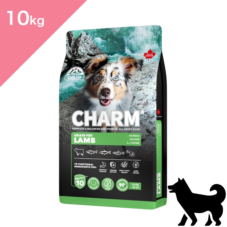 楽天市場】◇クーポンあり◇ 【犬用】 新 CHARM PROTECT10 チャーム