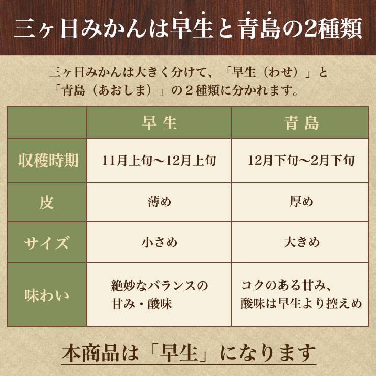 三ヶ日 早生 みかん9kg どうまいらぁ 大玉 2L〜 みかん 送料無料 2L 〜 三ヶ日みかん 産地直送 ミカン 蜜柑 9キロ 静岡県 大粒 果物  フルーツ 自宅用 美味しい 冬ギフト ギフト プレゼント 三ケ日 お返し 贈り物 陽だまりファーム 最安